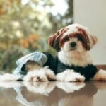 Heating Element Integration in Smart Pet Clothing: Comfort, Safety & Tech That Actually Works