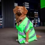 Real-Time Location Mapping for Pets: Why Smart Clothing Is Your Furry Friend’s New Best Safety Net