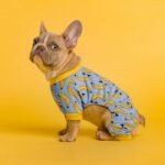 Smart Pet Temperature Clothing: The Future of Comfort for Your Furry Family
