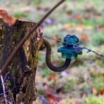 Thermal Comfort Ratings: Why Your Pet’s Smart Clothing Shouldn’t Just Look Cute