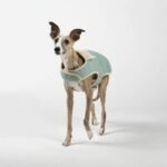 Why Stretchable Fabrics Are a Game-Changer for Smart Pet Clothing (and How to Choose the Right Ones)