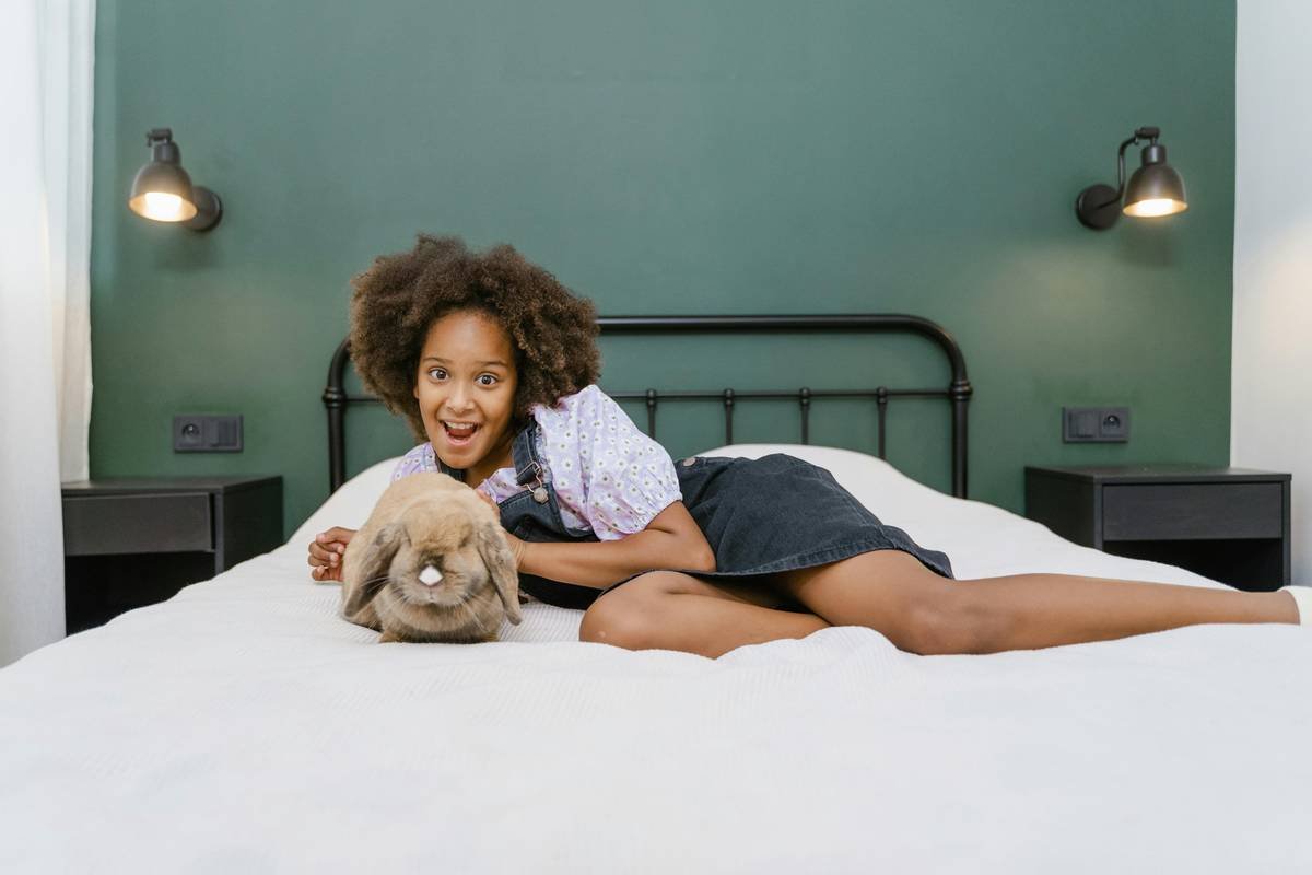Cozy Fit Pet Clothing: Why Smart, Snug Styles Are the Future of Furry Comfort