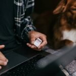 Is Your Pet Overheating in Silence? The Truth About Pet Body Temperature Wear