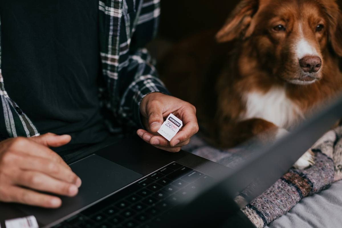 Is Your Pet Overheating in Silence? The Truth About Pet Body Temperature Wear