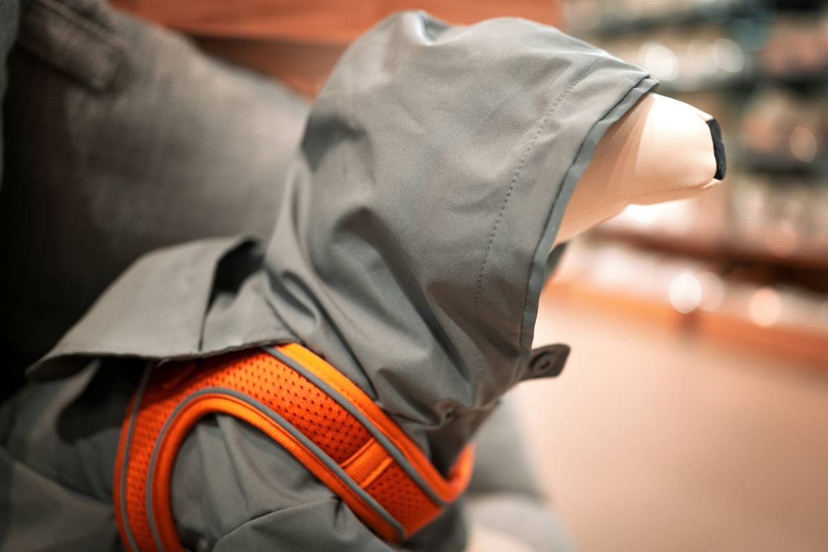 Why Your Dog’s Disappearing Acts Should End with a GPS Tracking Pet Outfit