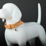 Is Your Pup’s Outfit Smarter Than Yours? Why GPS Smart Collar Clothing Is the Future of Pet Safety
