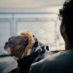 Is Your Pup’s Wardrobe Working Hard Enough? Why comfortpaws pet wear Is the Smart Choice for Modern Pet Parents