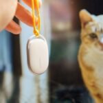 Gps Navigation Pet Clothing: 7 Proven Ways to Avoid Costly Tracking Mistakes