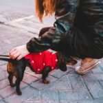 Pet Clothing Comfort Review: 7 Proven Tips to Avoid Painful Mistakes